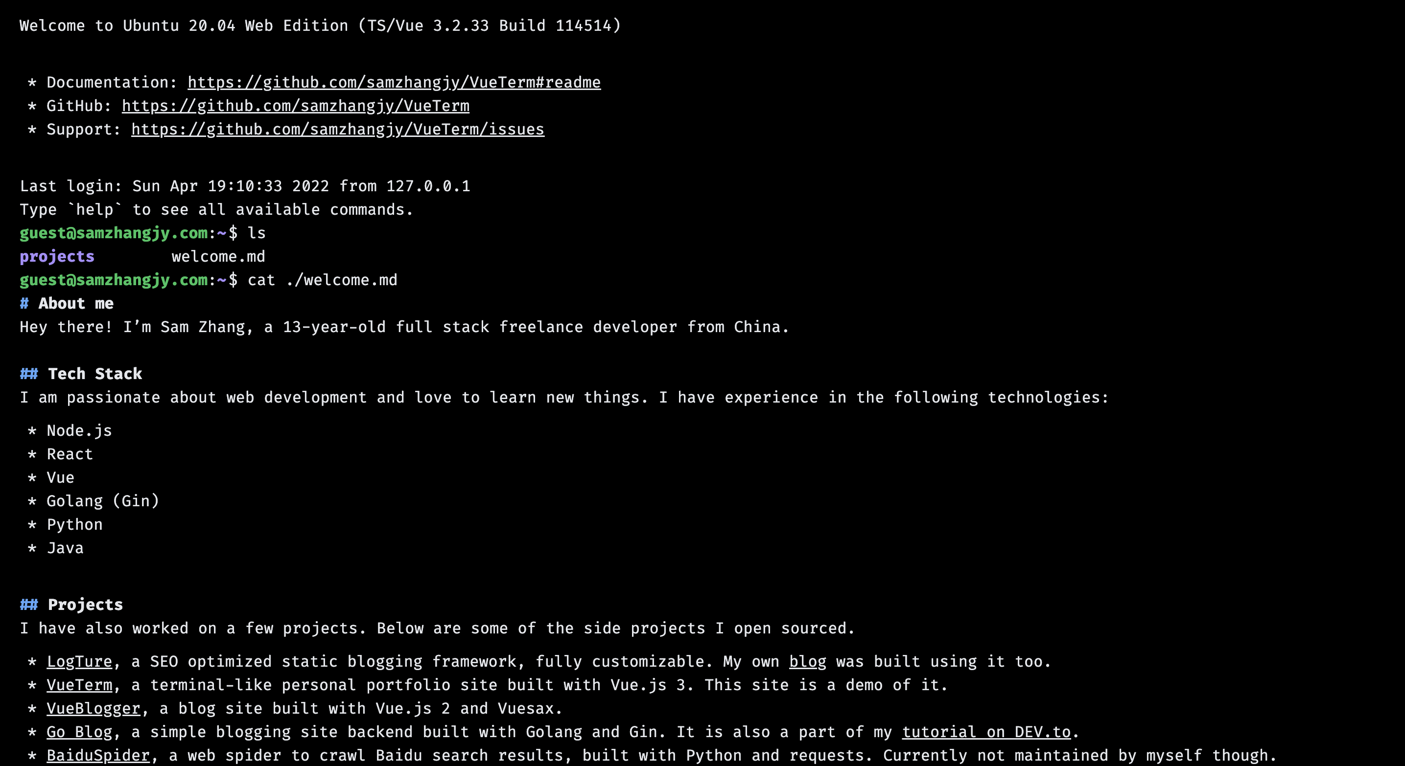 I built a terminal-like portfolio with Vue 3