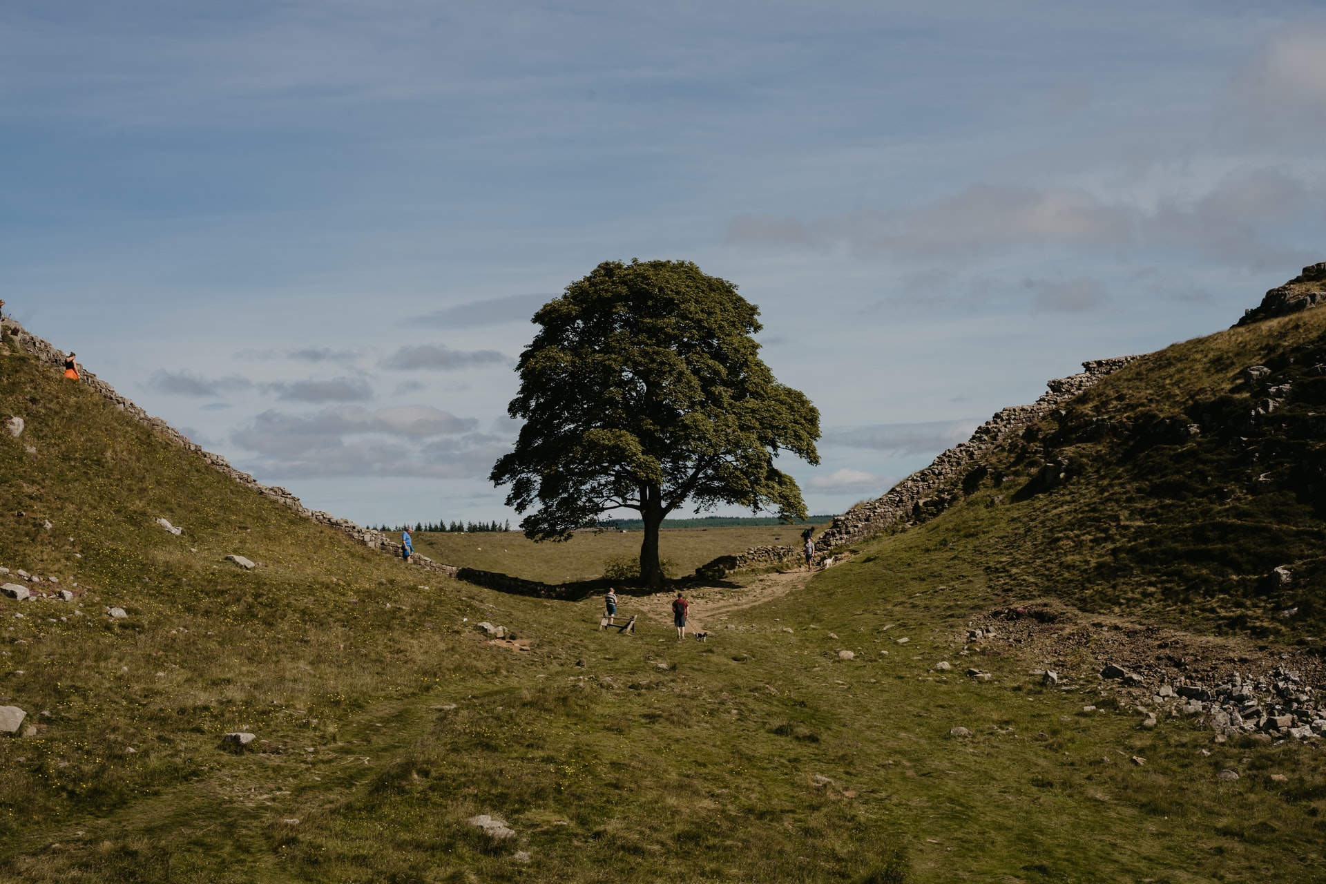 [图论] P1522 [USACO2.4] 牛的旅行 Cow Tours 题解